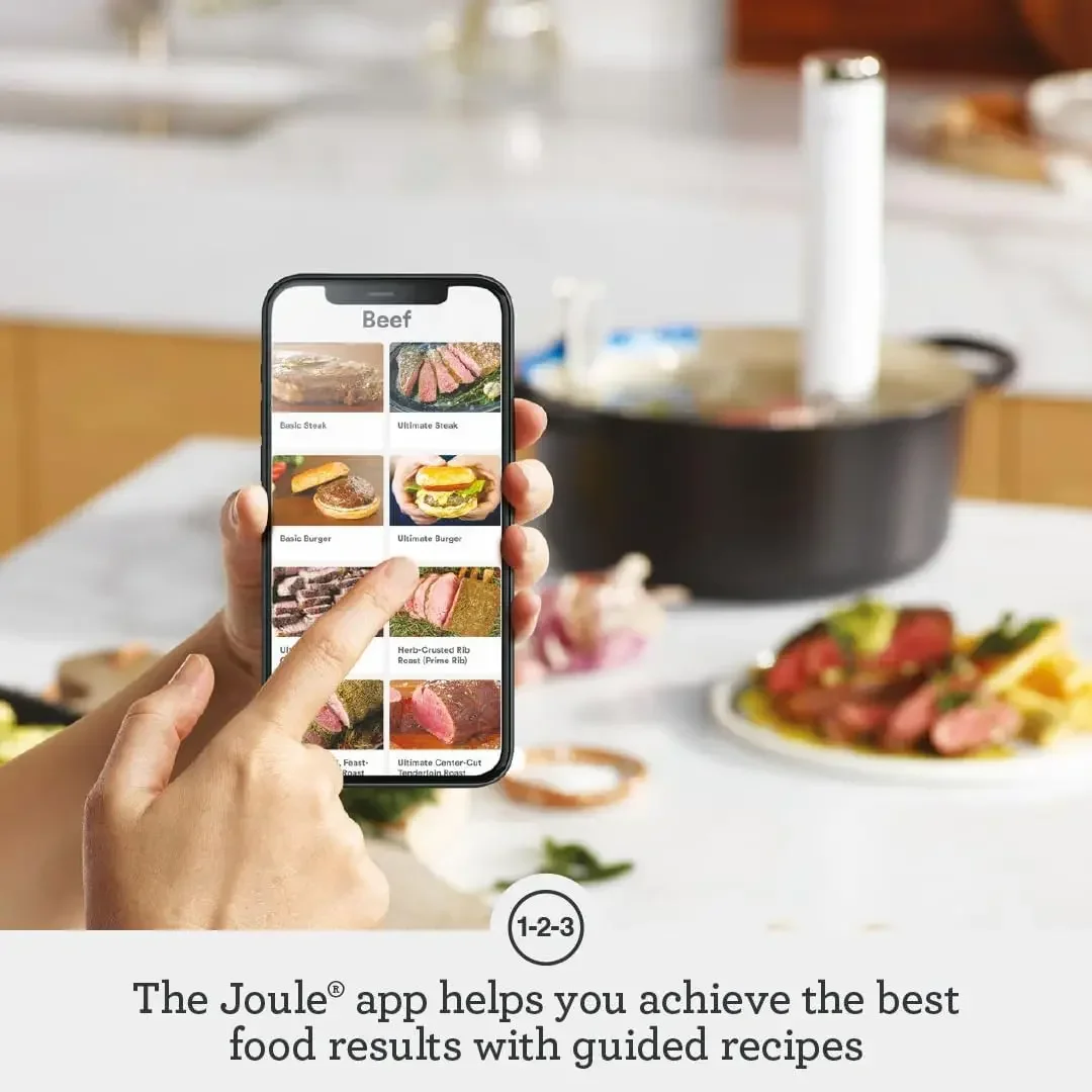 tt the Joule Turbo Sous Vide M - Sous Vide Immersion avaliação e preço