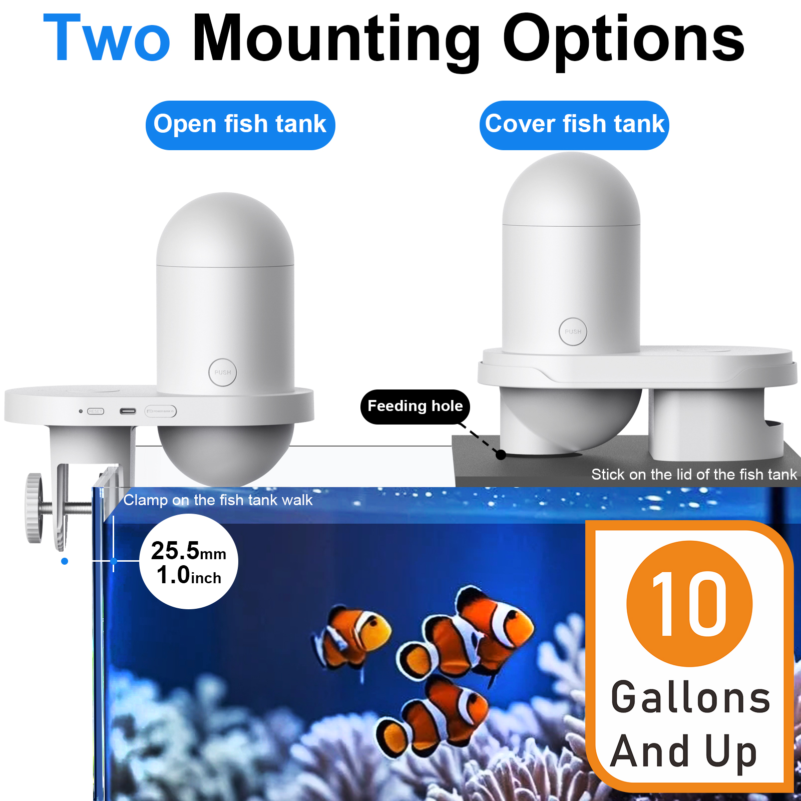 Automatic Fish Feeder With Cam - Kitchen Appliances Video avaliação e preço