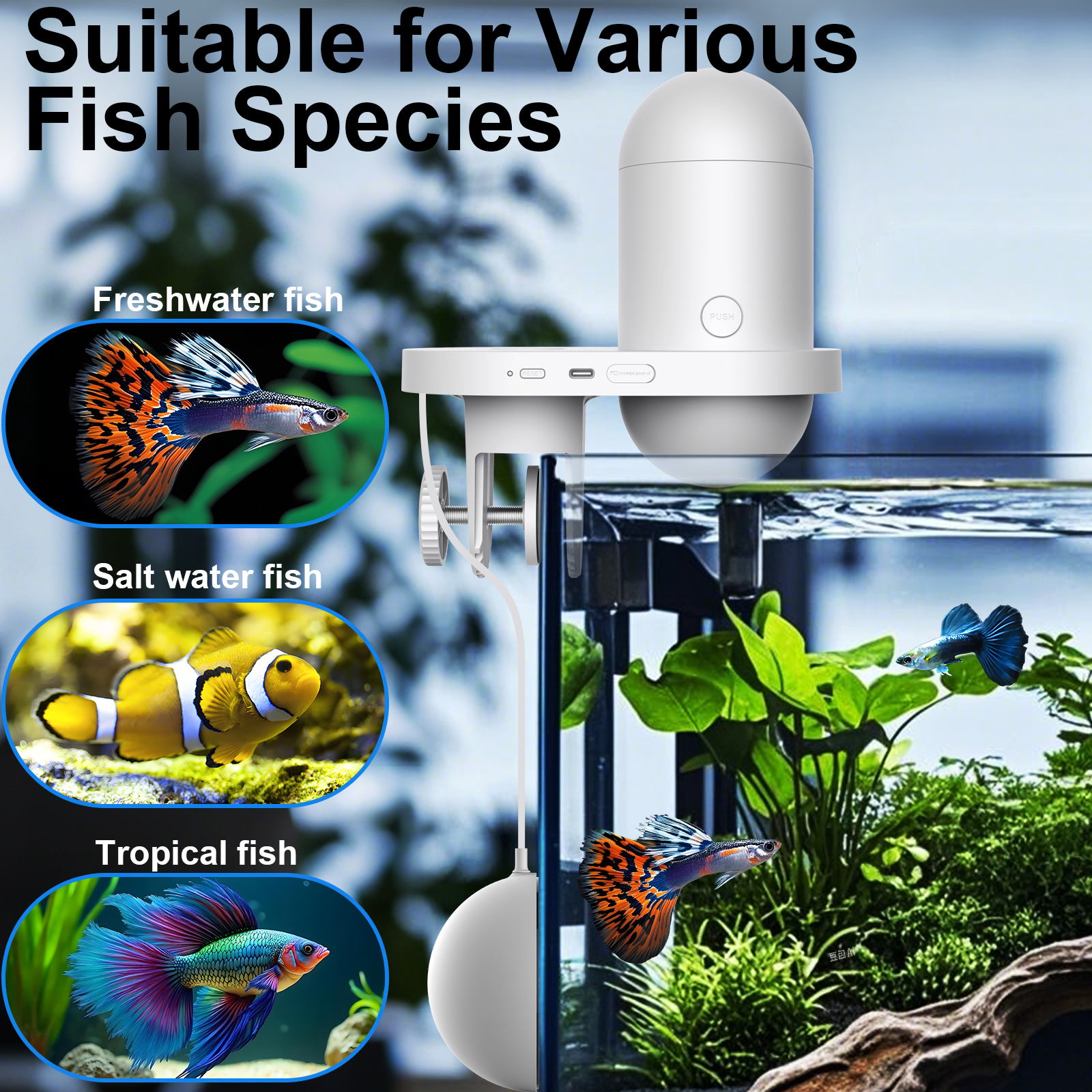 Automatic Fish Feeder With Cam - Kitchen Appliances Video avaliação e preço