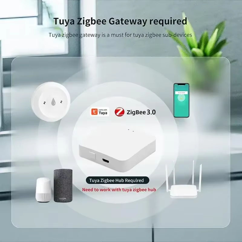Tuya ZigBee 3.0 Water Leak Det - Kitchen Appliances Video avaliação e preço
