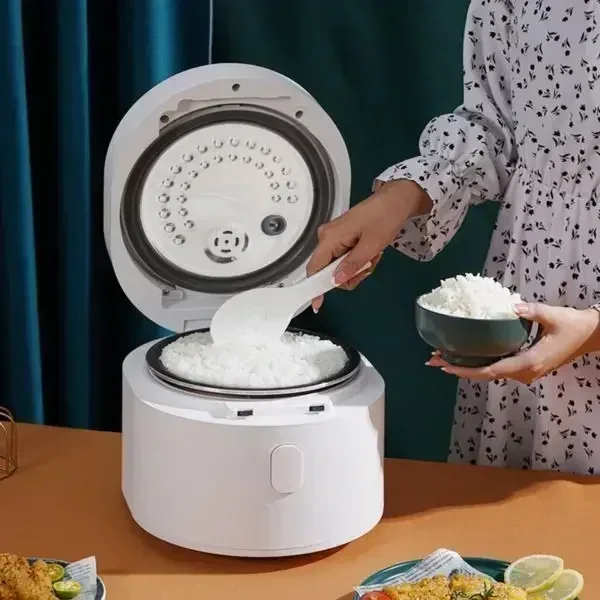 110v smart Rice cooker 3L rice - Kitchen Appliances Canada avaliação e preço