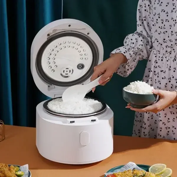 110v smart Rice cooker 3L rice - Kitchen Appliances Canada avaliação e preço