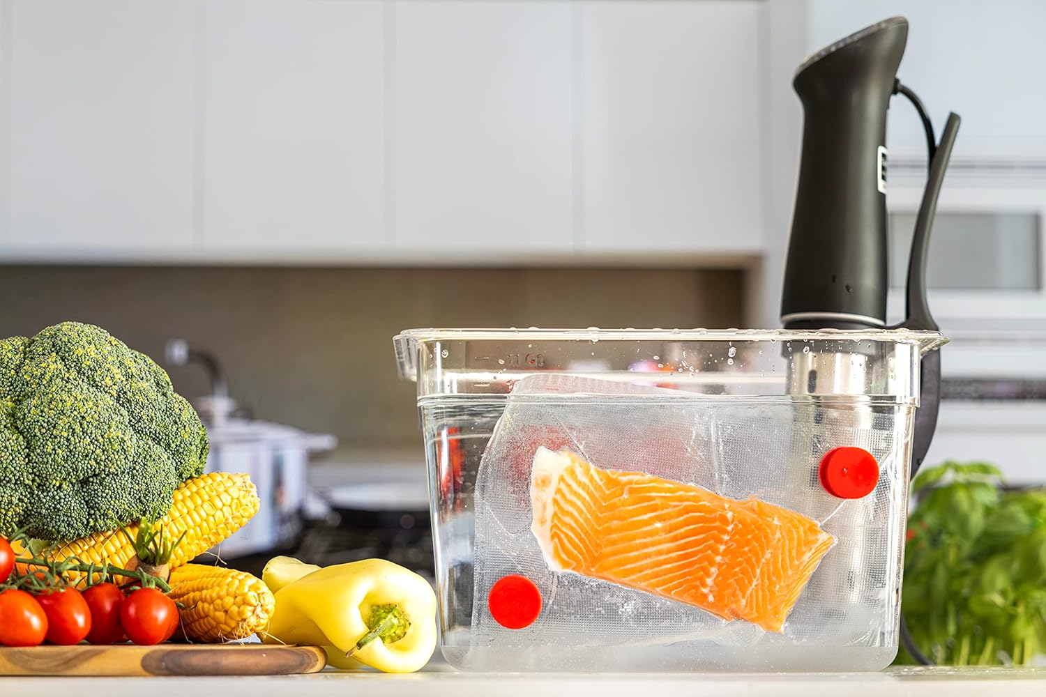 Sous Vide Magnets Set of 8 - F - Sous Vide Immersion avaliação e preço