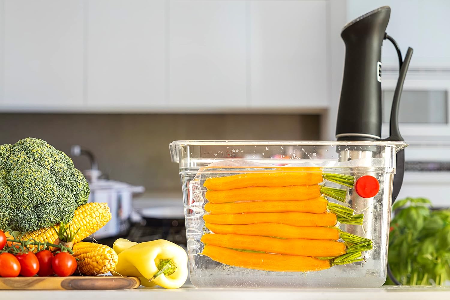 Sous Vide Magnets Set of 8 - F - Sous Vide Immersion avaliação e preço