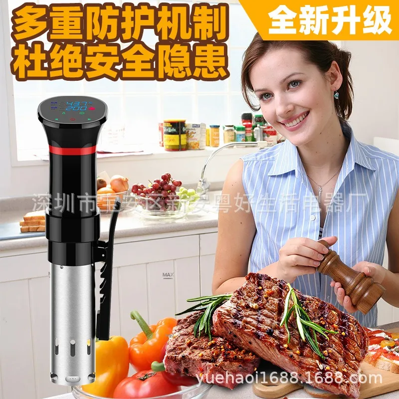 110V-220V Waterproof Vacuum So - Sous Vide Immersion avaliação e preço