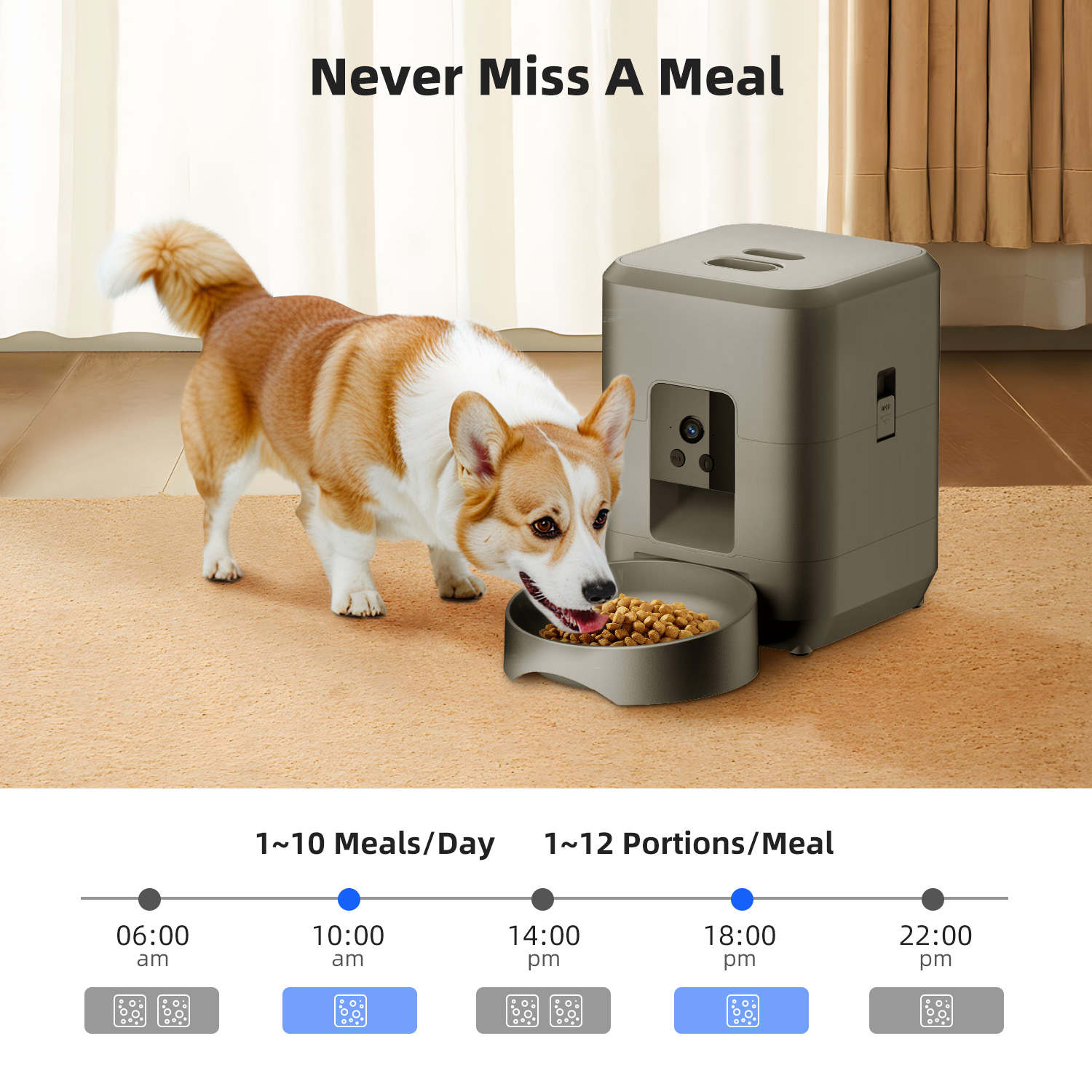 2L Automatic Pet Feeder Cat Sm - Kitchen Appliances Video avaliação e preço