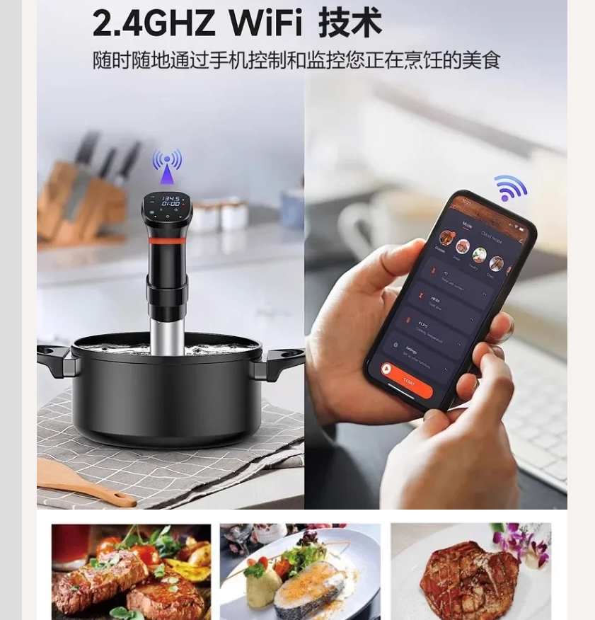 220V Sous Vide Precision Cooke - Sous Vide Immersion avaliação e preço