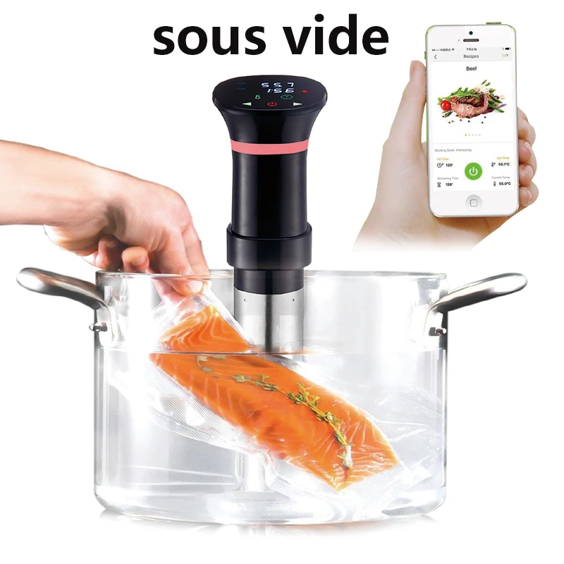 220V Sous Vide Precision Cooke - Sous Vide Immersion avaliação e preço