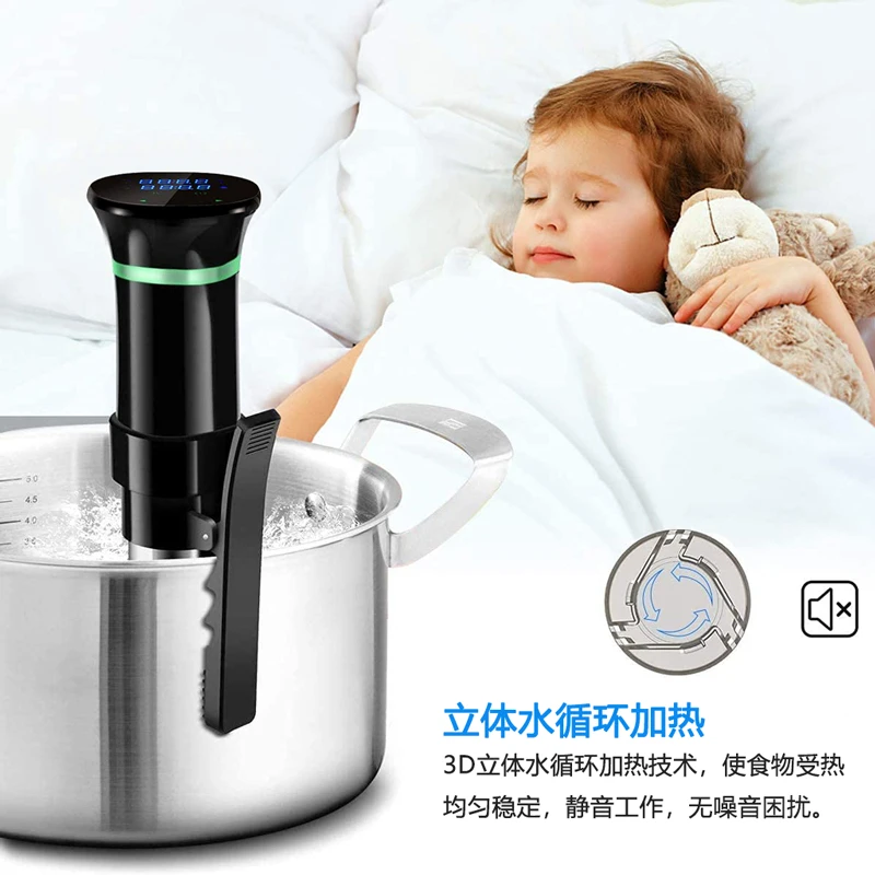220V Sous Vide Precision Cooke - Sous Vide Immersion avaliação e preço