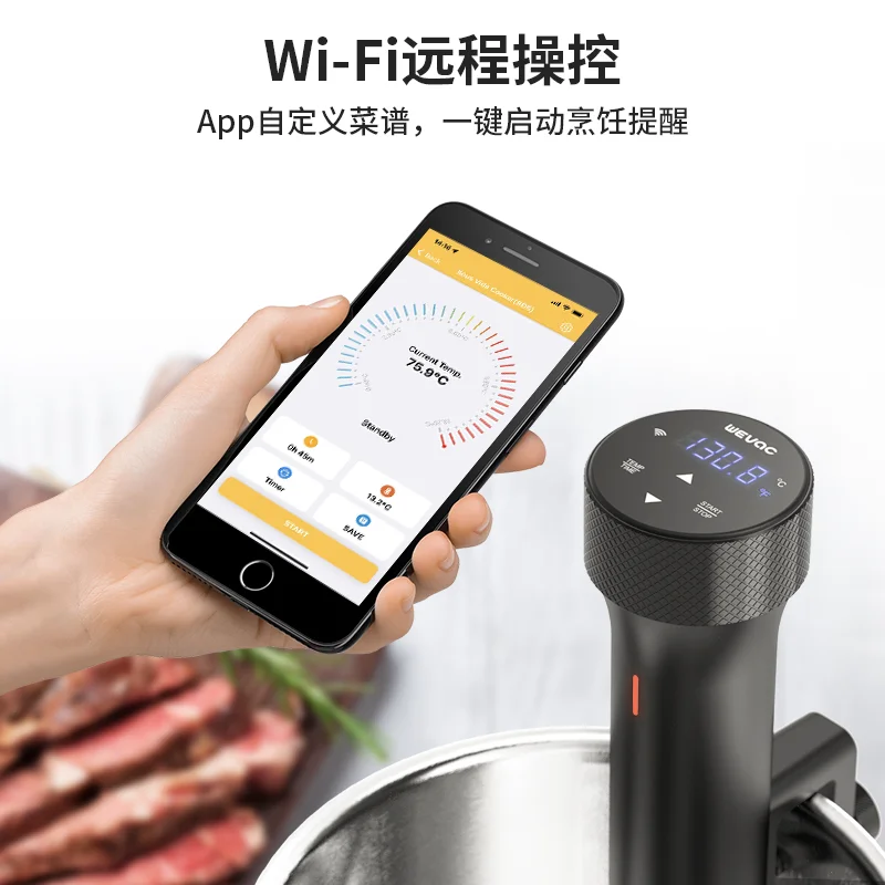 110V/220V WEVAC Sous Vide Prec - Sous Vide Immersion avaliação e preço