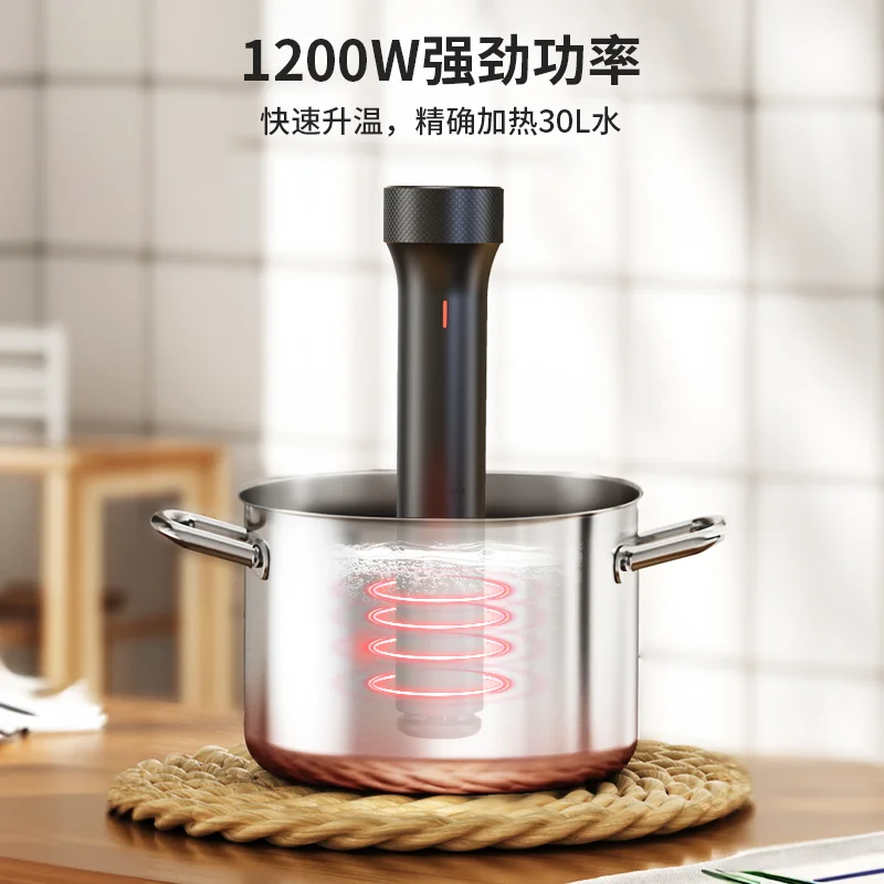 110V/220V WEVAC Sous Vide Prec - Sous Vide Immersion avaliação e preço