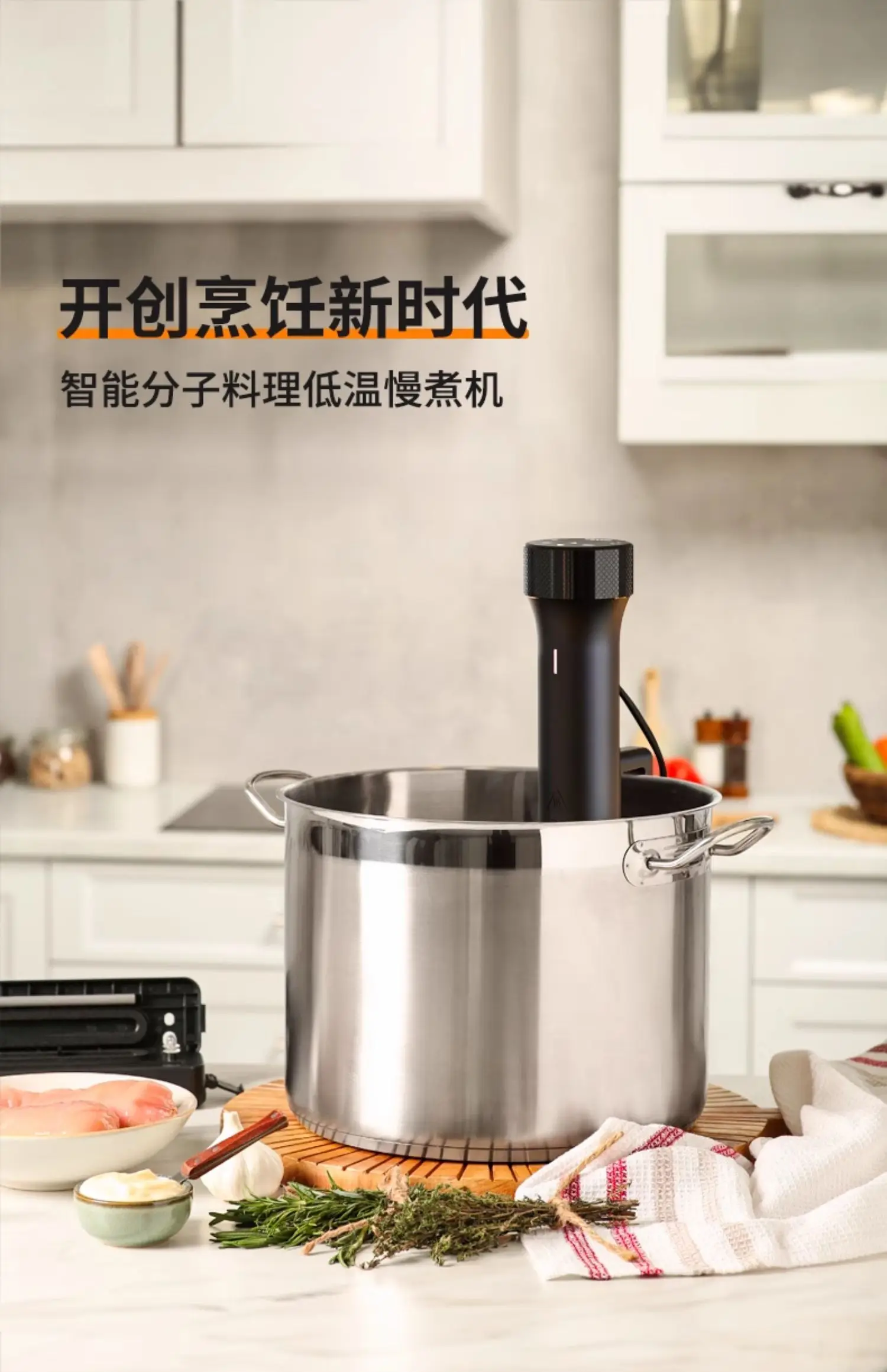 110V/220V WEVAC Sous Vide Prec - Sous Vide Immersion avaliação e preço